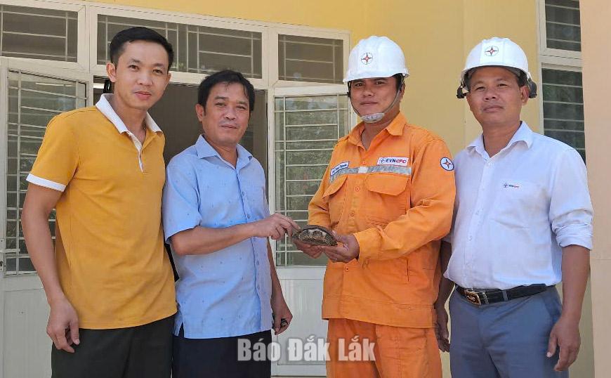 Sửa đường dây điện, nhân viên điện lực phát hiện loài rùa quý hiếm 1 Các nhân viên Điện lực Sông Hinh bàn giao loài Rùa đất Pul-kin cho Ban Quản lý rừng phòng hộ Sông Hinh.