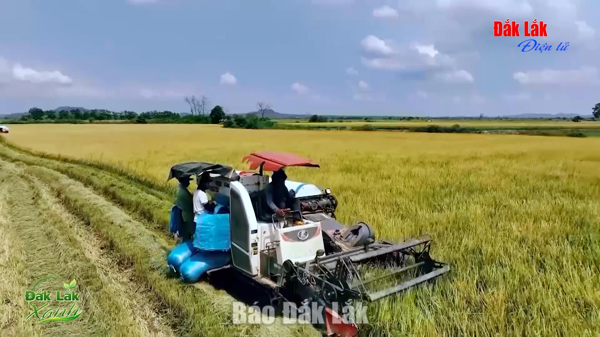 (Video)  Hiện đại hóa máy móc, xanh hóa nông nghiệp