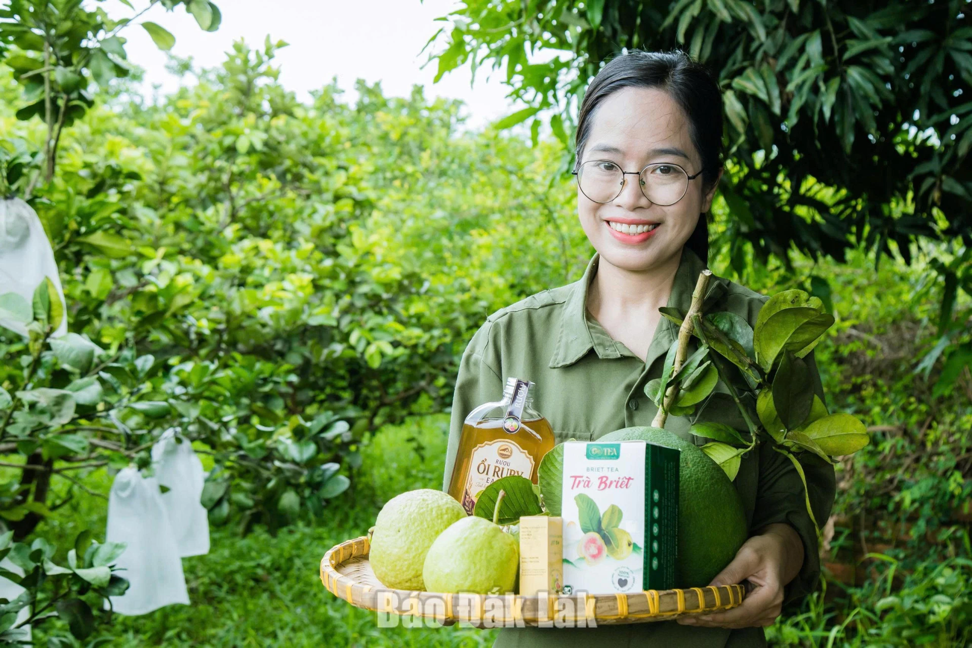 Chị Nguyễn Thị Bích với sản phẩm trà Briêt Organic từ lá ổi Ruby.