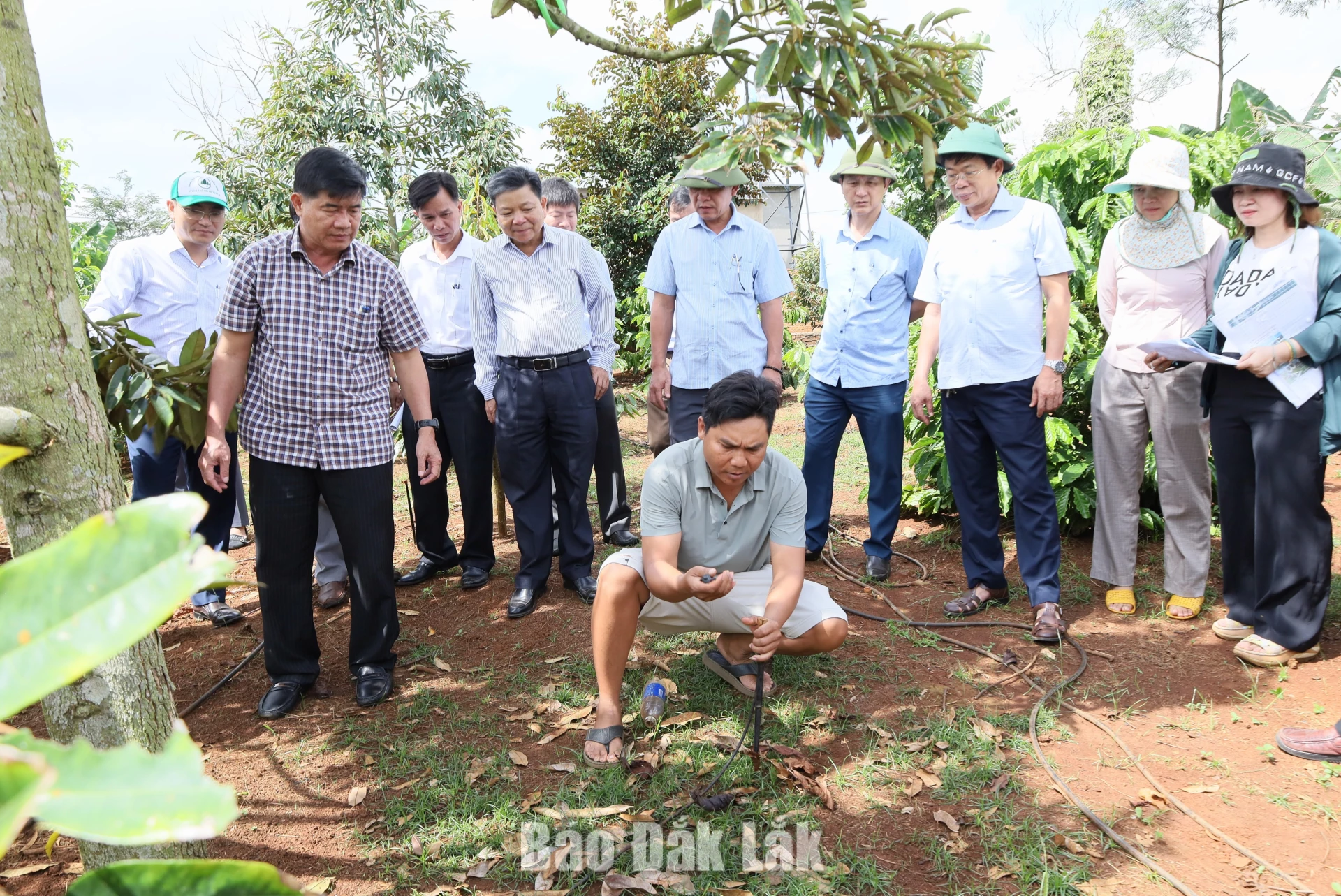Phó Chủ tịch UBND tỉnh Nguyễn Thiên Văn kiểm tra các mô hình phòng, chống hạn hán thuộc Dự án SACCR 2 Mô hình tưới phun mưa cục bộ của hộ ông Y Niu Niê tại buôn Gha Mah (xã Krông Pắc).