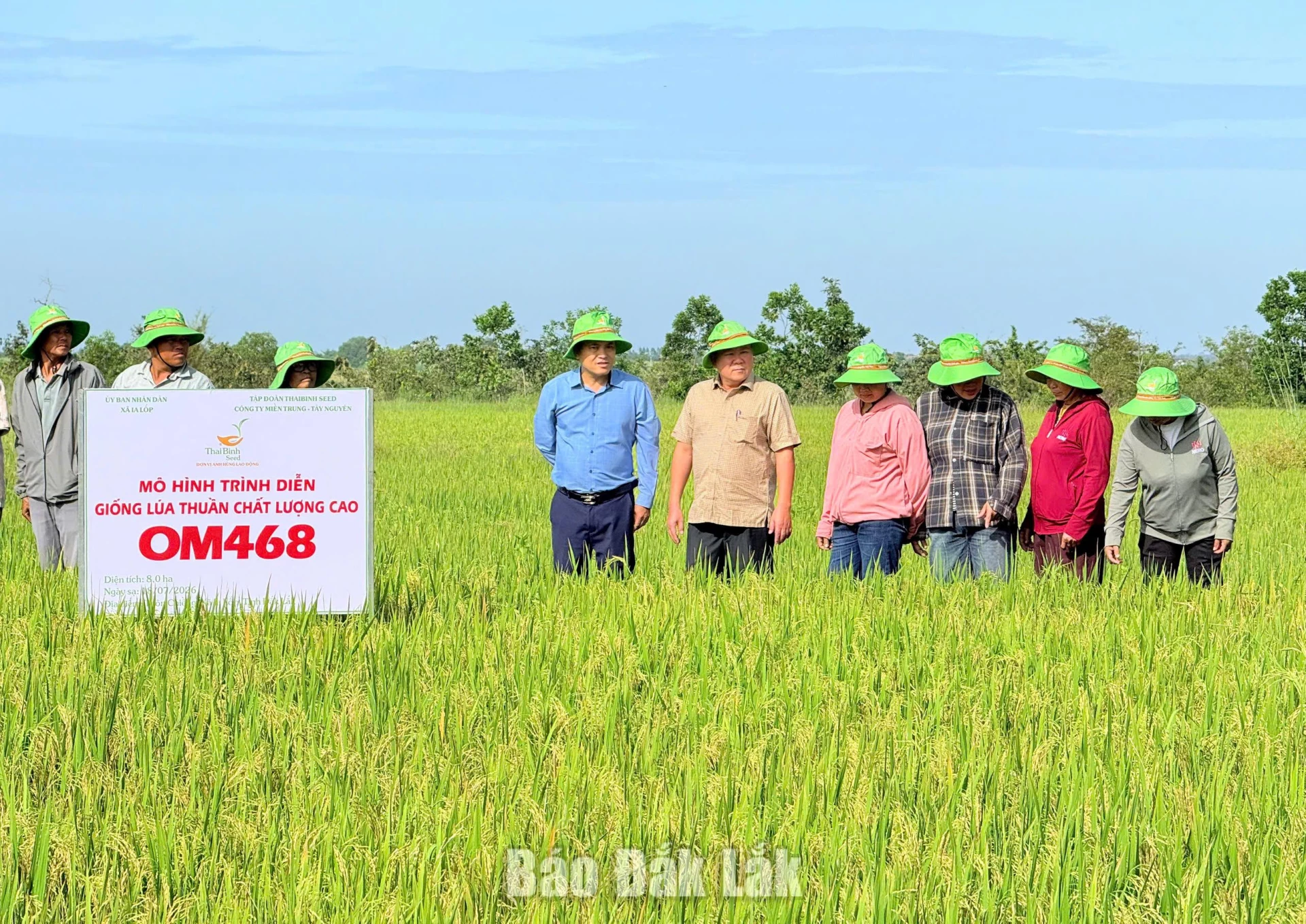 Các đại biểu và nông dân tham qua mô hình.