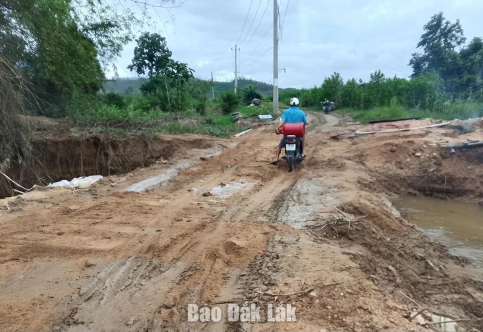 Xã Phú Mỡ được phân bổ 10,4 tỷ đồng khắc phục, nâng cấp 7 công trình hạ tầng 1 đường giao thông từ xóm Khẩu Mương đi Lộn Hiệu (thôn Suối Cối 1)